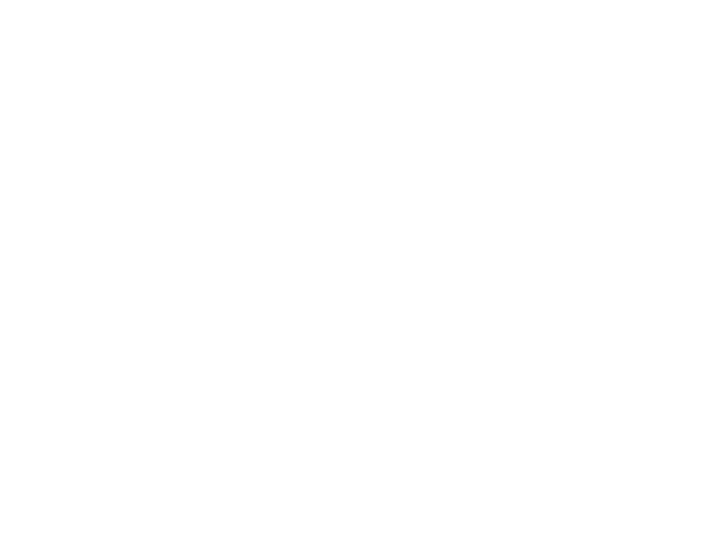 F&S Rise, LLC